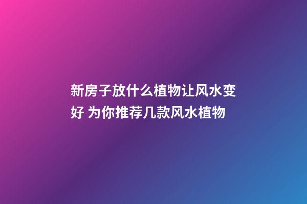 新房子放什么植物让风水变好 为你推荐几款风水植物